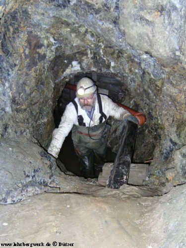 Bär Ostkreuz